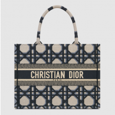 Dior Book Tote Beige and Blue Macrocannage Embroidery