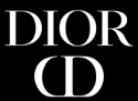 Christian Dior Bags Outlet 